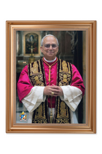 Pope Leo XIV Framed Portrait - 13-1/2" x 16-1/2" - TA129567C