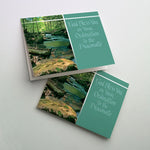 Deacon Ordination Card - PNCB10307