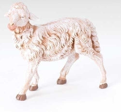 Sheep, head straight - LI52936
