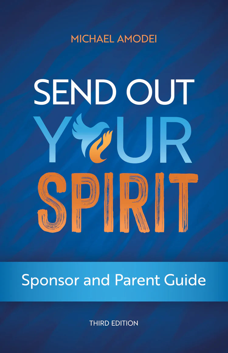 Send out You Spirit Sponsor/Parent Guide-9781646804511