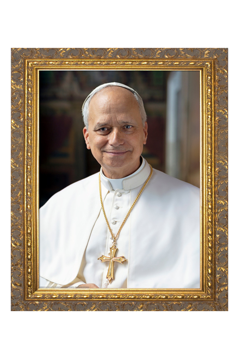 Official Pope Leo XIV Framed Portrait - 12 x 16 - VTNW1879