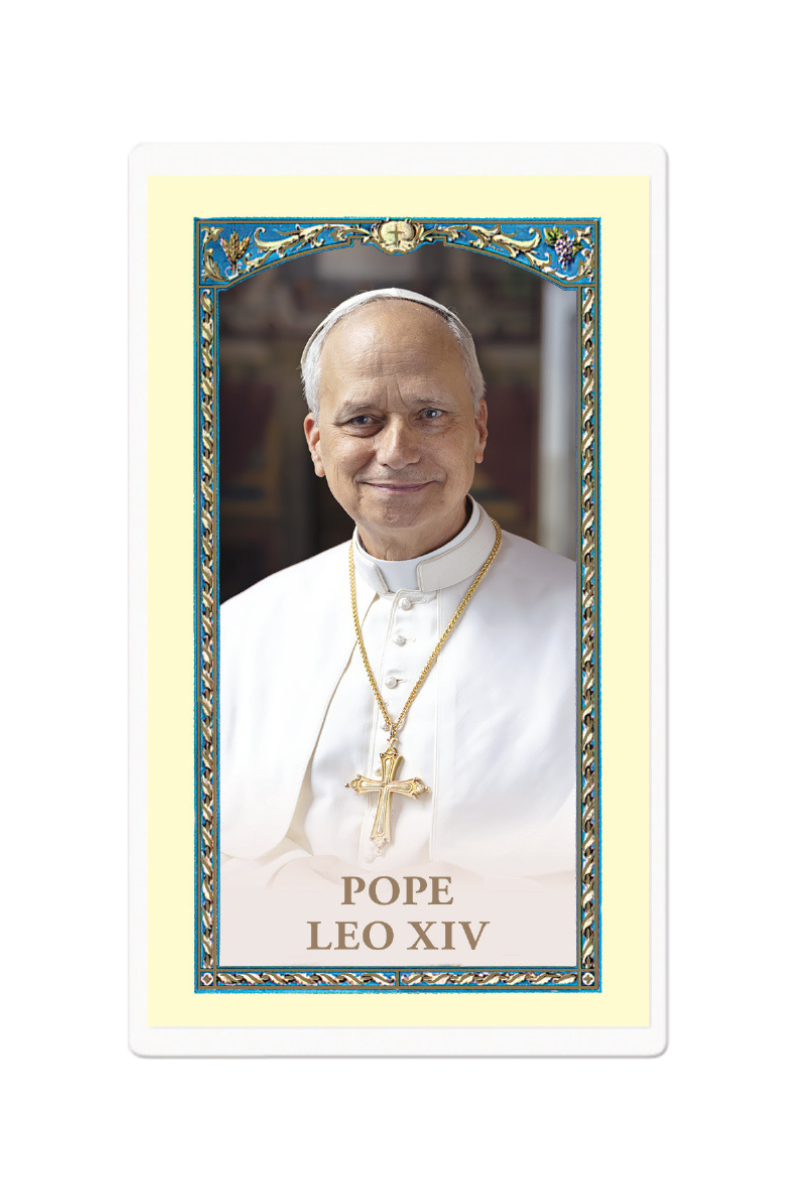 Pope Leo XIV - TAE24567D