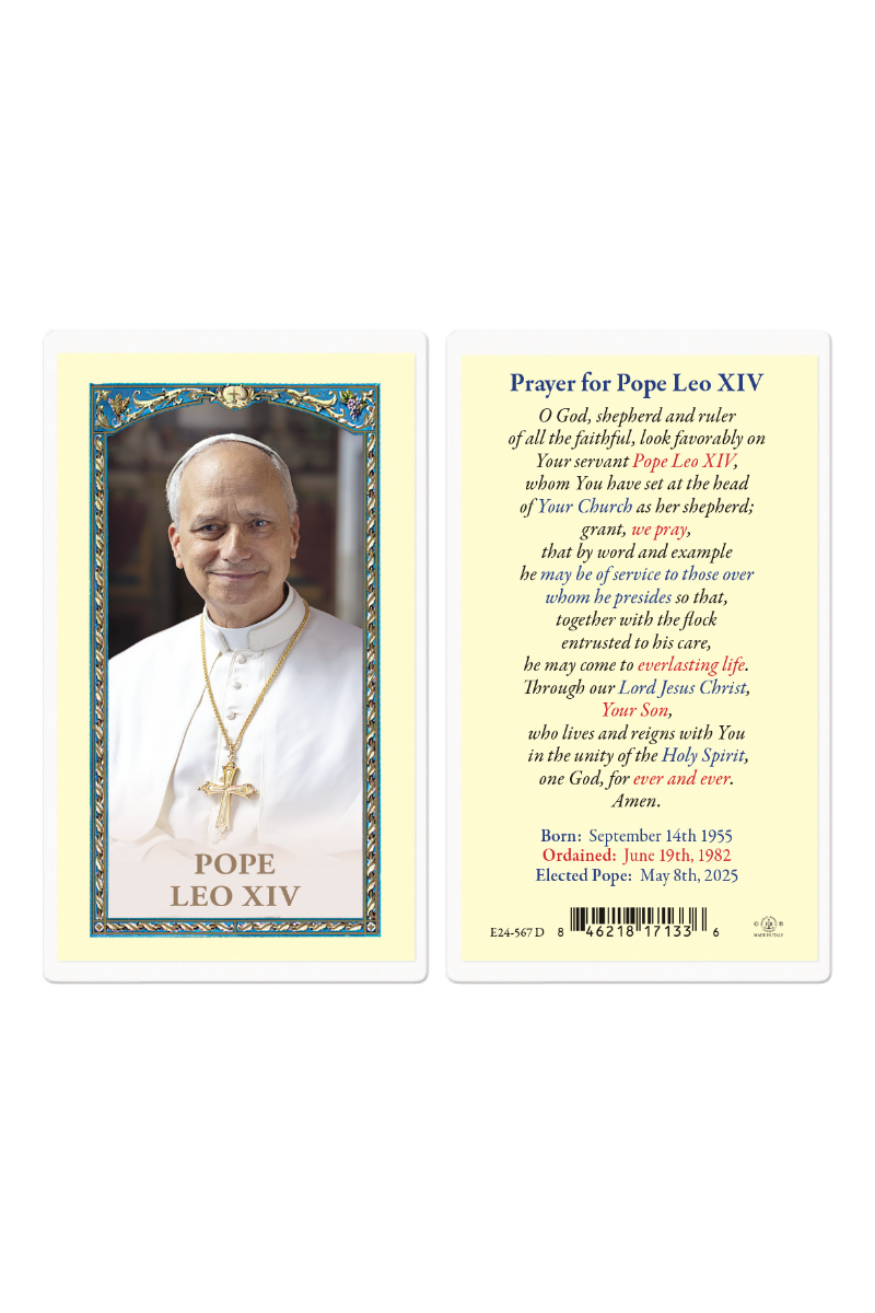 Pope Leo XIV - TAE24567D