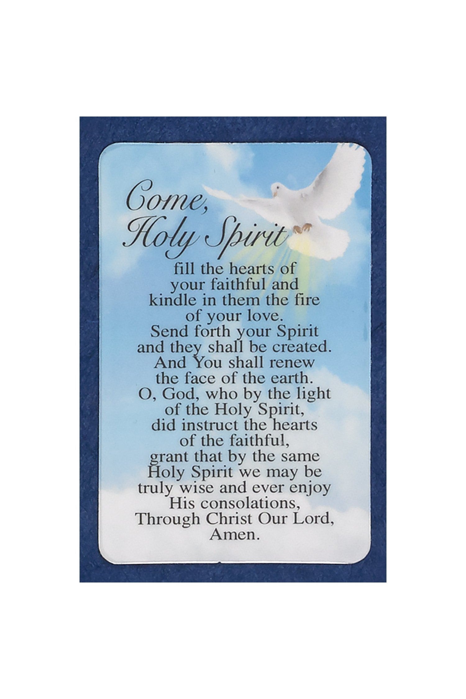 Come Holy Spirit Laminated Holy Card - NP14110SP