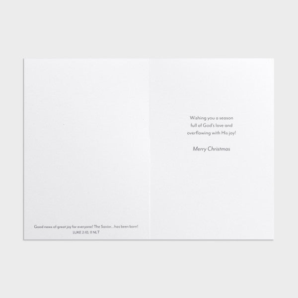 Joyful Christmas Boxed Cards - HKJ8843-Inspirational Gifts-Day Spring-Michigan Church Supply