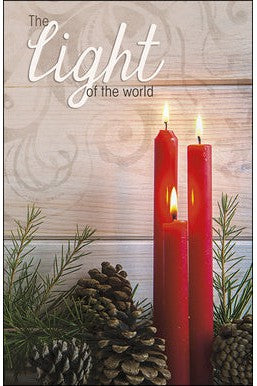 Light of the World Bulletin Cover 100/pk - AH168108