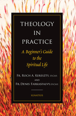 Theology in Practice - IP46259