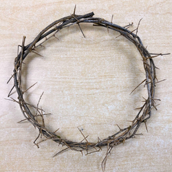 8" Crown of Thorns - FRCOT06
