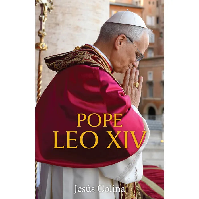 Pope Leo XIV - IWT2913