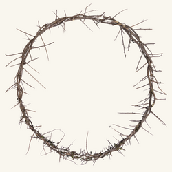 24" Crown of Thorns - FRCOT05