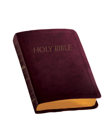 Catholic Companion Edition Bible-FI2929