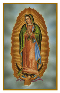 Our Lady of Guadalupe Holy Card FQHG603