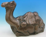 Camel WJSA3661