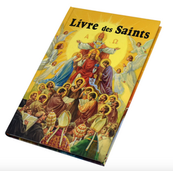 Livre Des Saints En Image (French) - GF23722F